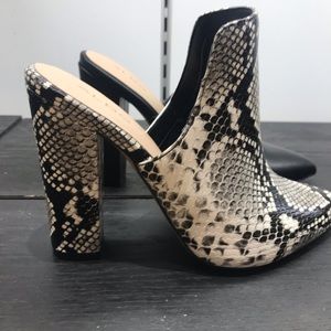 Meet your Posher, Bibi